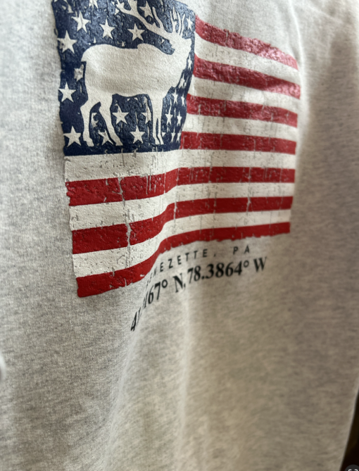 Flag Hoodie - Image 3